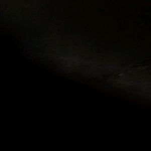 Meet your Posher, Cesar